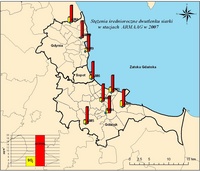 stenia_srednioroczne_S02 2007.jpg